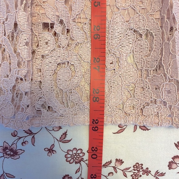 Atlantic Pacific X Halogen Pink Lace Midi Skirt - Picture 3 of 6